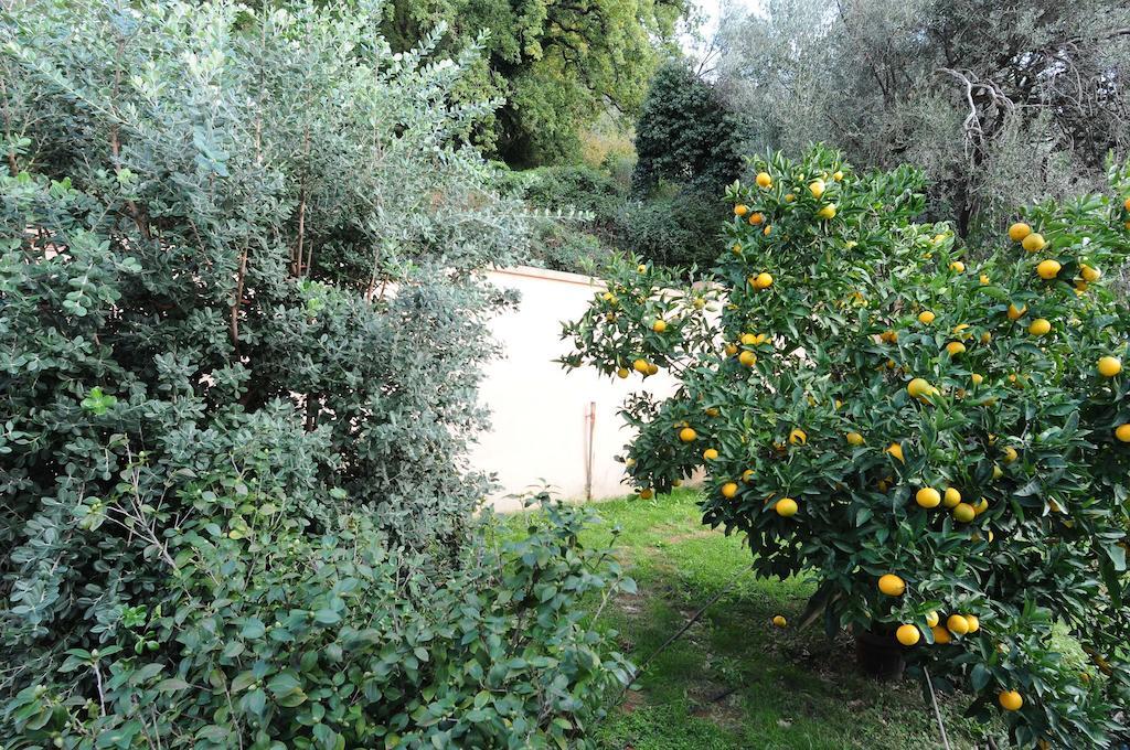 D&R Boreta Apartments Budva Luaran gambar