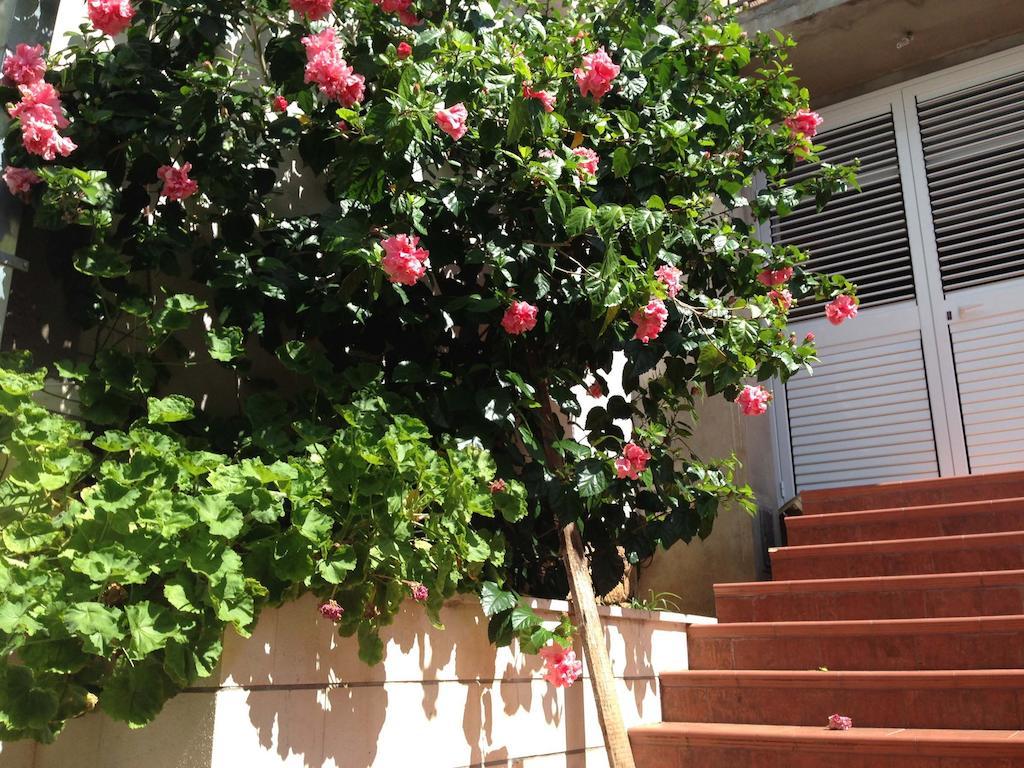 D&R Boreta Apartments Budva Luaran gambar