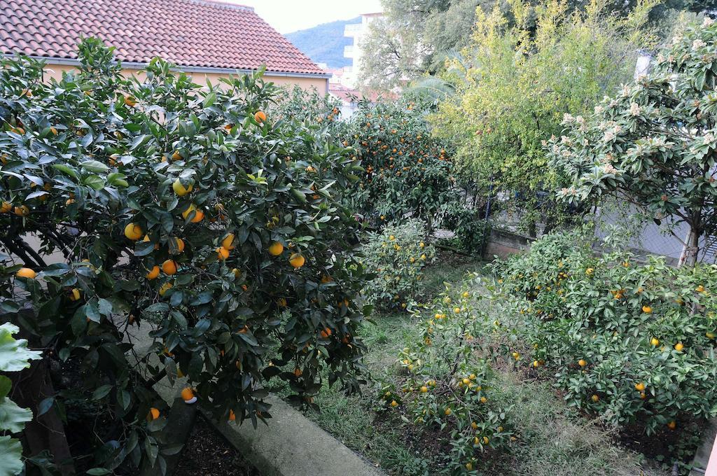 D&R Boreta Apartments Budva Luaran gambar